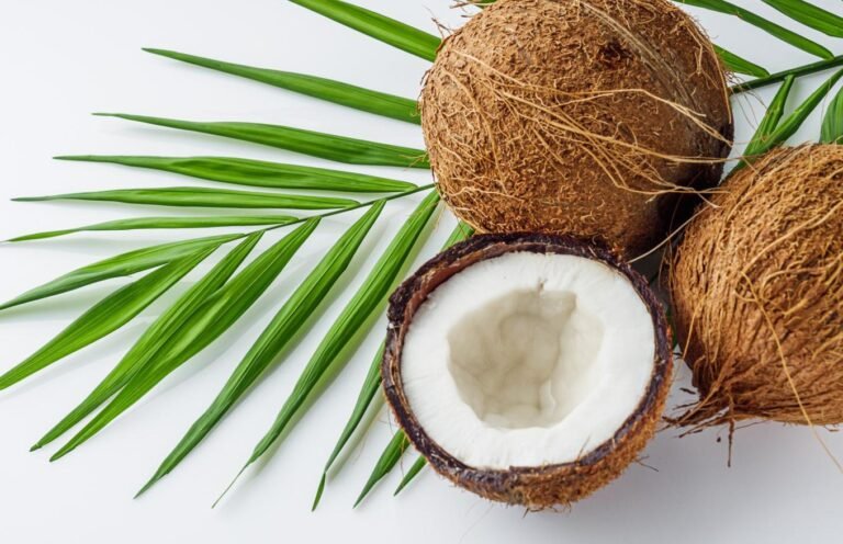 Кокос – користь, шкода, склад і як правильно вживати кокос у щоденному житті кокос