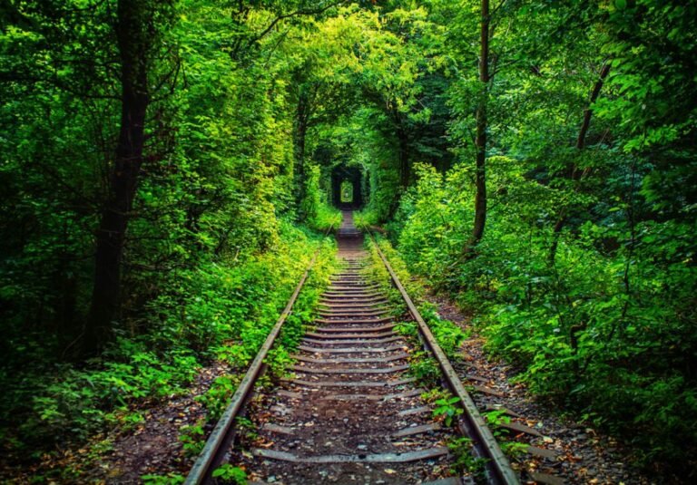 Тунель кохання – романтична перлина Рівненщини, історія, легенди та поради для мандрівників тунель кохання